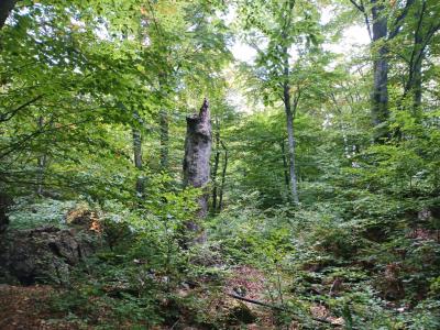 Прикрепленное изображение: 010.jpg